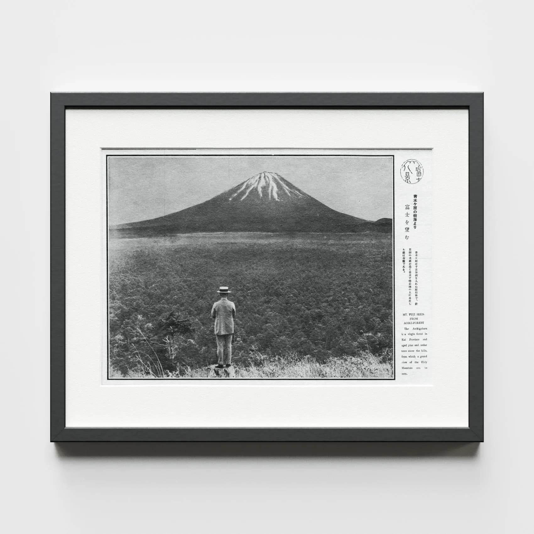 Mt. Fuji from Aokigahara Forest